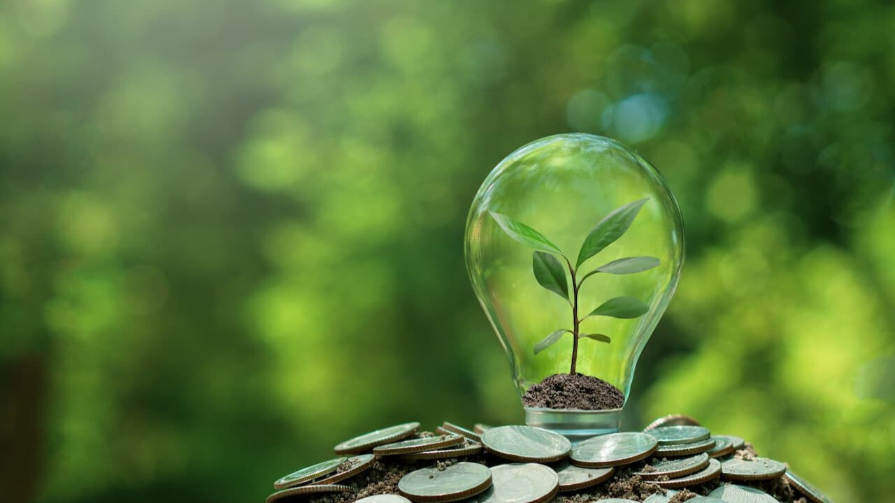 Elektrik Faturasını Yarıya İndirin: Ev ve İş Yerleri İçin 5 Etkili Enerji Tasarrufu Stratejisi